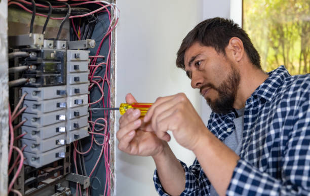 Best Electric Panel Repair  in Clarendon Hls, IL